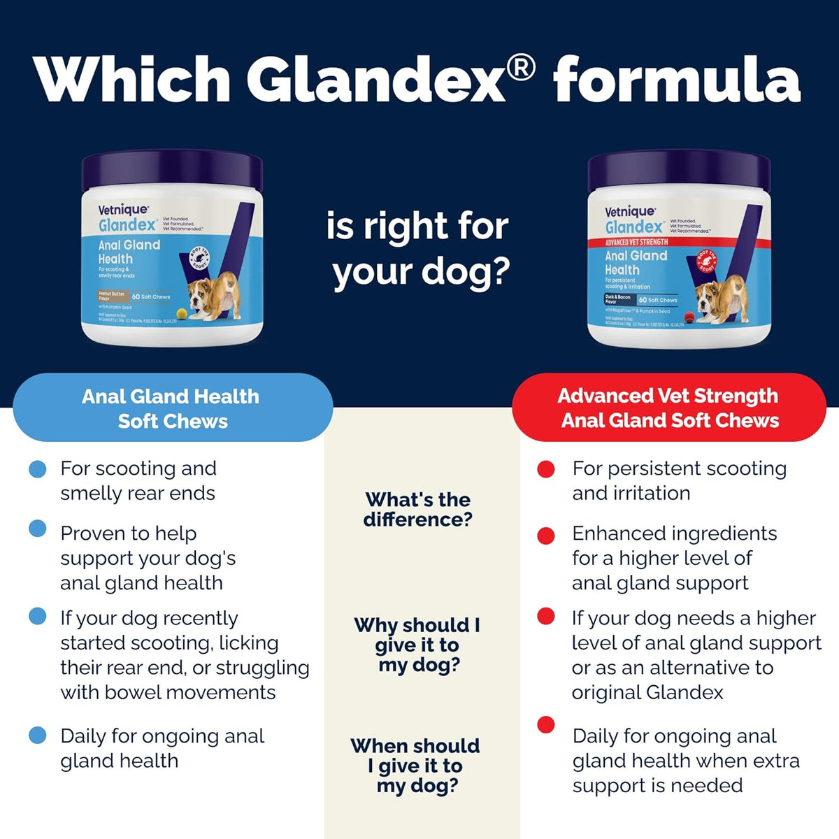 Vetnique Glandex Anal Gland Soft Chew Treats with Pumpkin for Dogs Digestive Enzymes, Probiotics Fiber Supplement for Dogs Boot The Scoot (Peanut Butter Chews, 60 Count)
