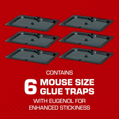 Tomcat Glue Traps Mouse Size with Eugenol for Enhanced Stickiness for Mice, Cockroaches, and Spiders, 6 Traps