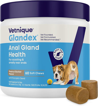 Vetnique Glandex Anal Gland Soft Chew Treats with Pumpkin for Dogs Digestive Enzymes, Probiotics Fiber Supplement for Dogs Boot The Scoot (Peanut Butter Chews, 60 Count)