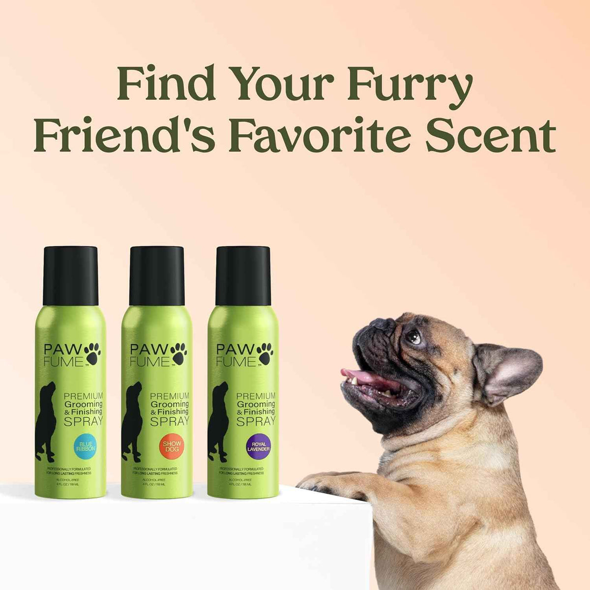 PAWFUME Dog Perfume Spray Long Lasting Scent for Grooming, Show Dog, 1-Pack – Keep Your Pup Fresh All Day – Hypoallergenic, Alcohol-Free, Detangling Formula – Moisturizing Pet Cologne Spray for Dogs