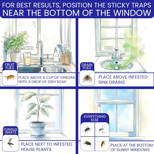 50 Window Fly Traps Sticky Non-Toxic Clear Fly Paper Indoor for Home. No Mess Flies Window Sticky Traps Bug Flies Strips Indoors. Fruit and Housefly Trap Indoor Flypaper Tape Gnat Catcher Killer