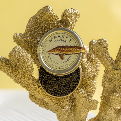 MARKY'S Kaluga Hybrid Black Sturgeon Caviar – 1 oz / 28 g – Malossol Kaluga Hybrid Black Roe